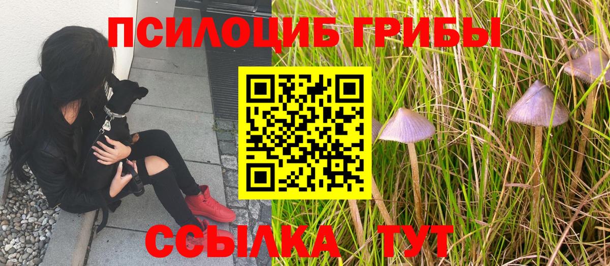 Псилоцибиновые грибы MAGIC MUSHROOMS Алексин
